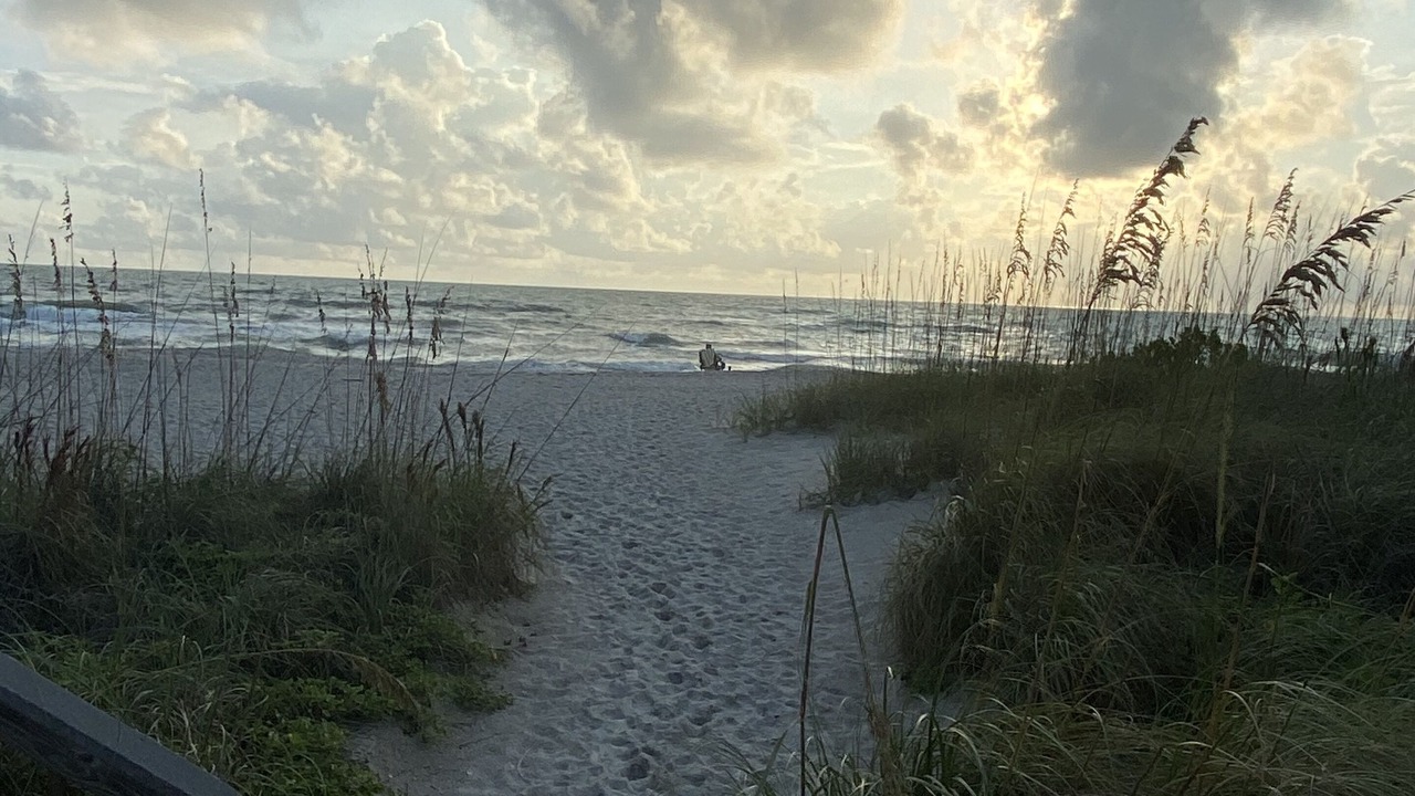 Photo of Others in Longboat Key