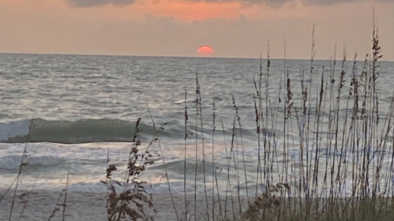 Photo of Others in Longboat Key
