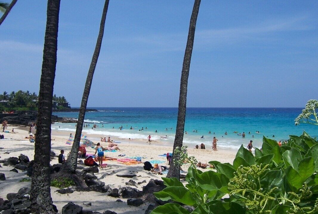 Photo of Others in Kahaluu Bay