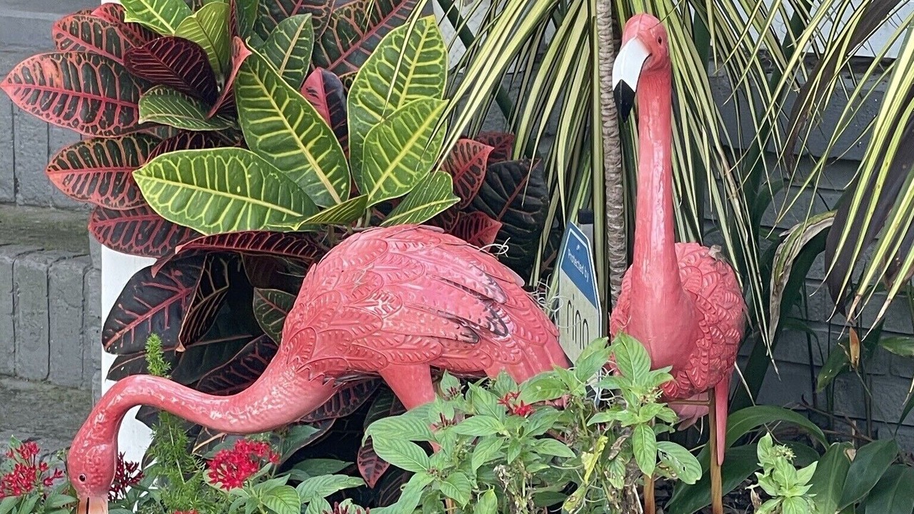 Photo of Outdoor in South Seminole Heights