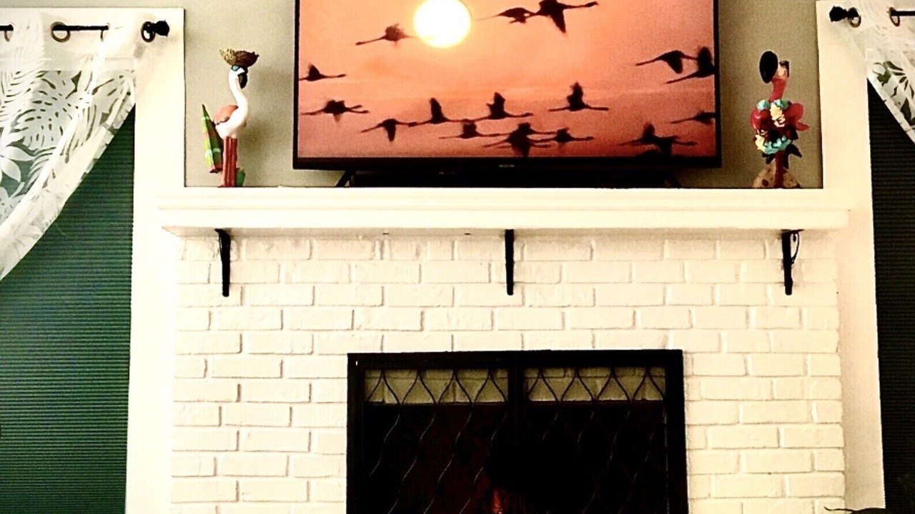 Photo of Livingroom in South Seminole Heights
