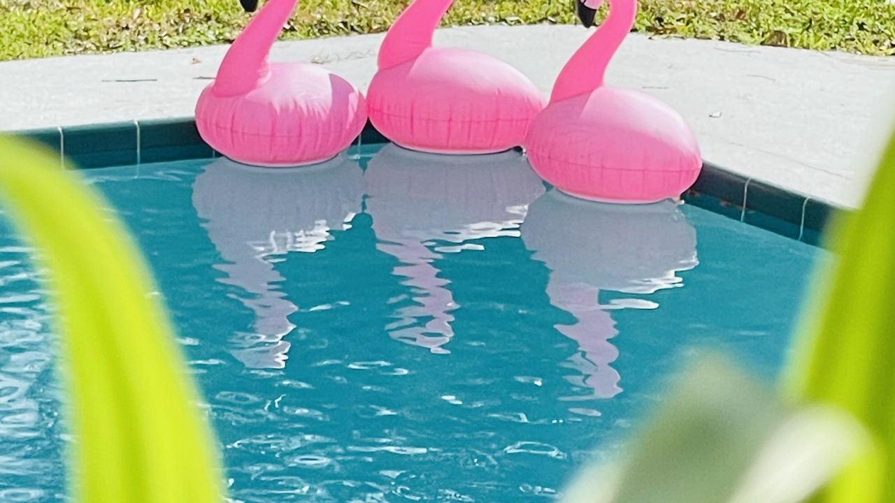 Photo of Outdoor in South Seminole Heights