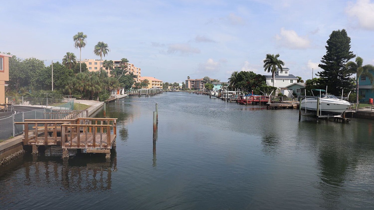 Photo of Others in Treasure Island