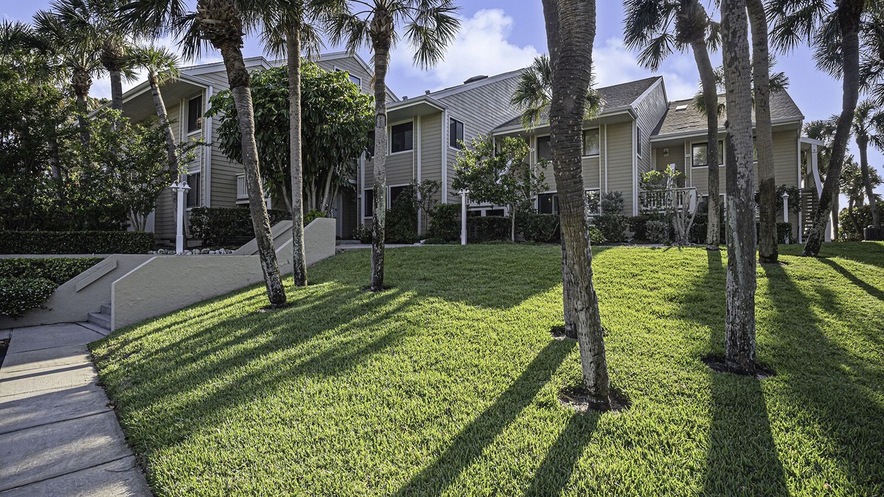 Photo of Outdoor in Belleair Beach