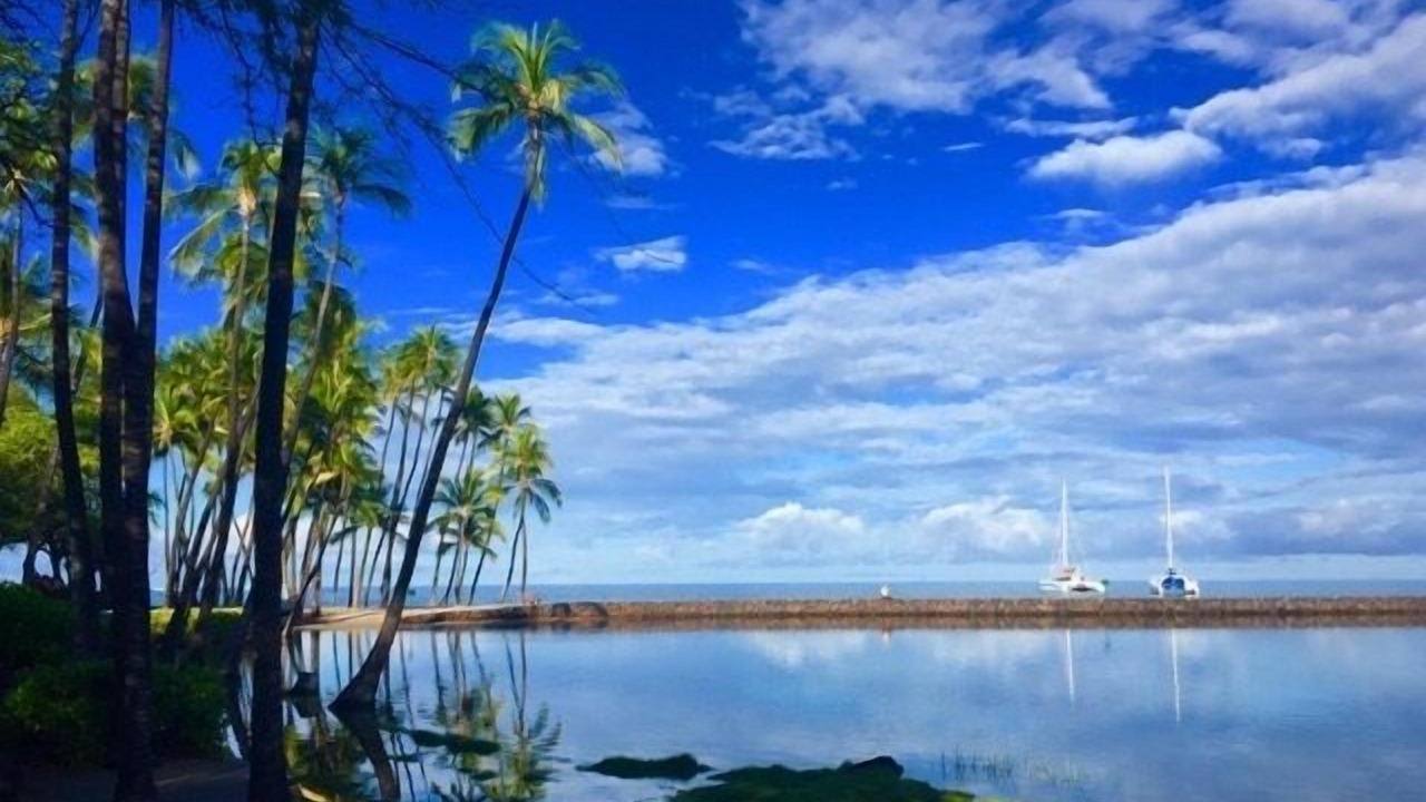 Photo of Others in Kohala Estates