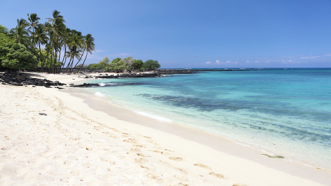 Photo of Others in Kohala Estates