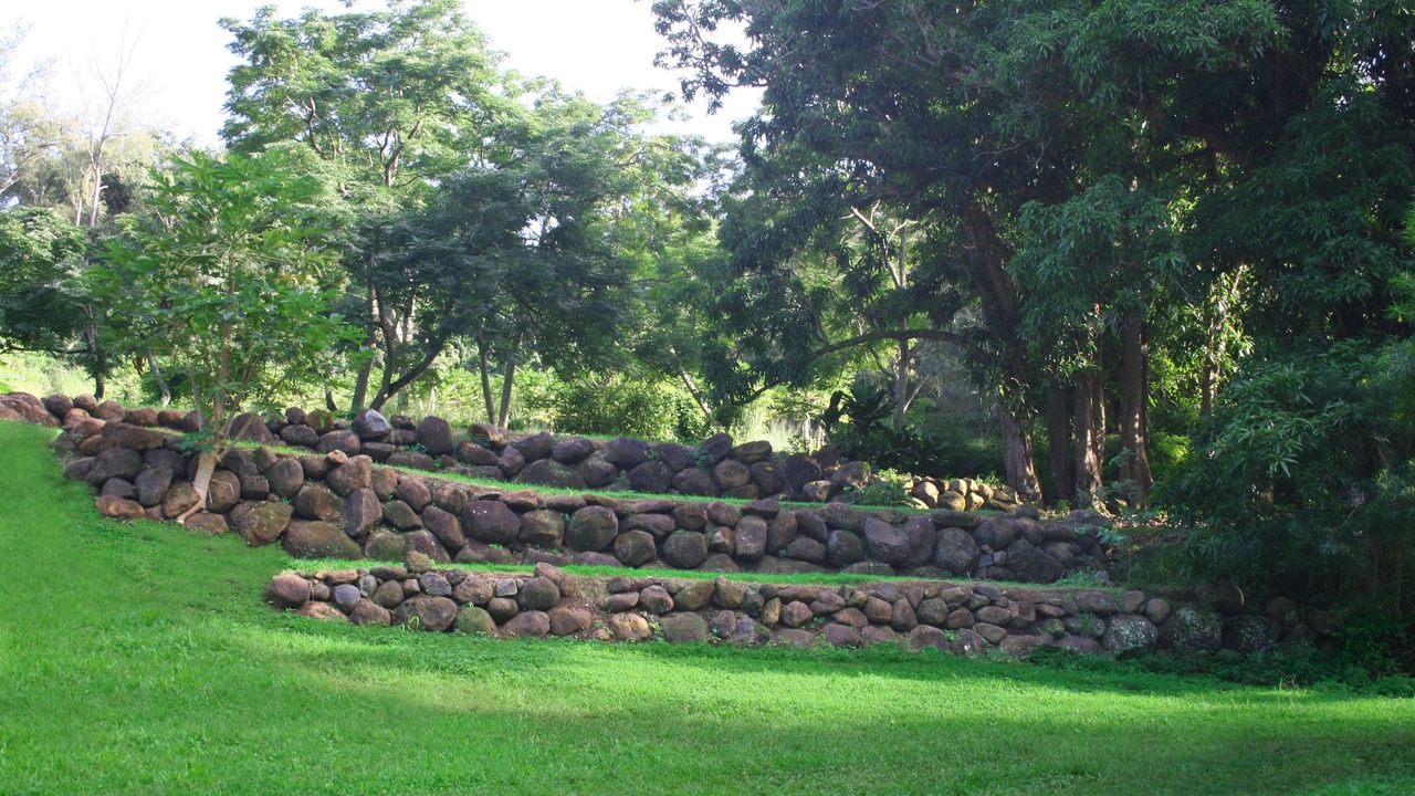 Photo of Outdoor in Kapaau