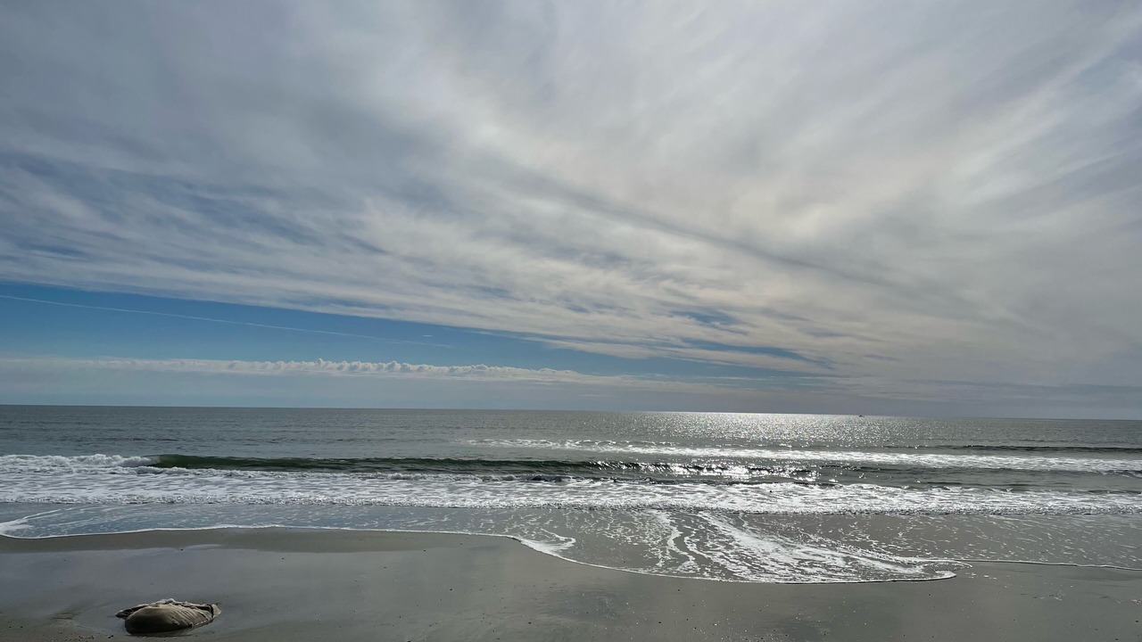 Photo of Others in Ocean Isle Beach