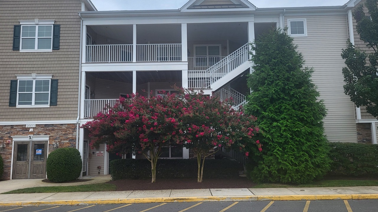 Photo of Outdoor in Rehoboth Beach