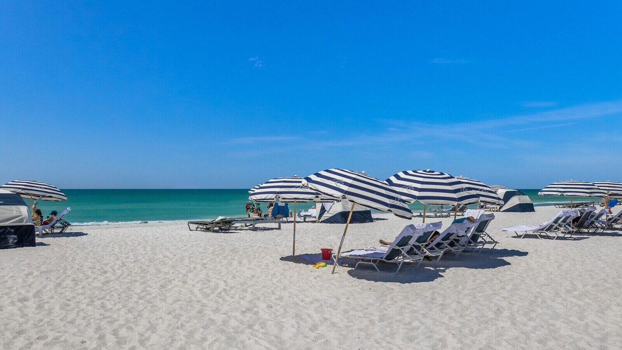 Photo of Others in Sarasota