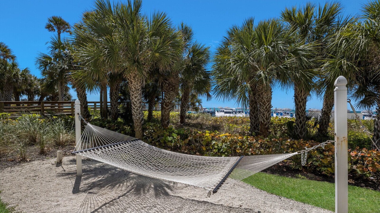 Photo of Outdoor in Sarasota