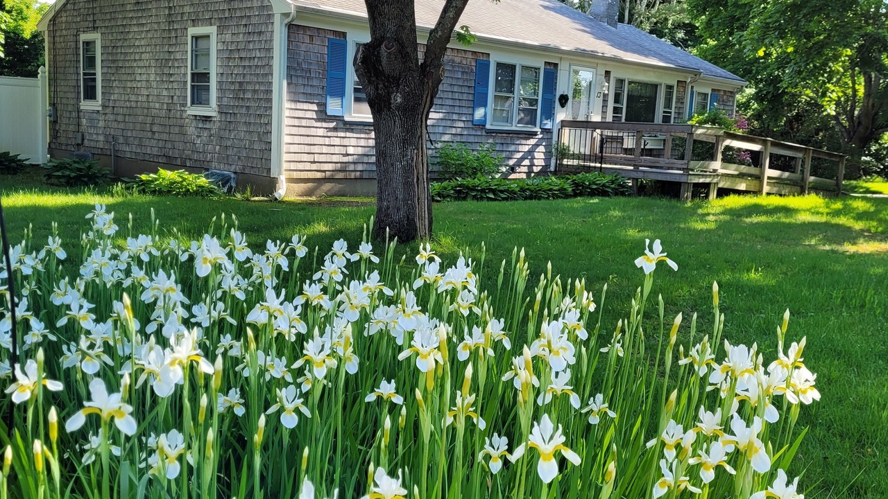 Photo of Outdoor in East Falmouth