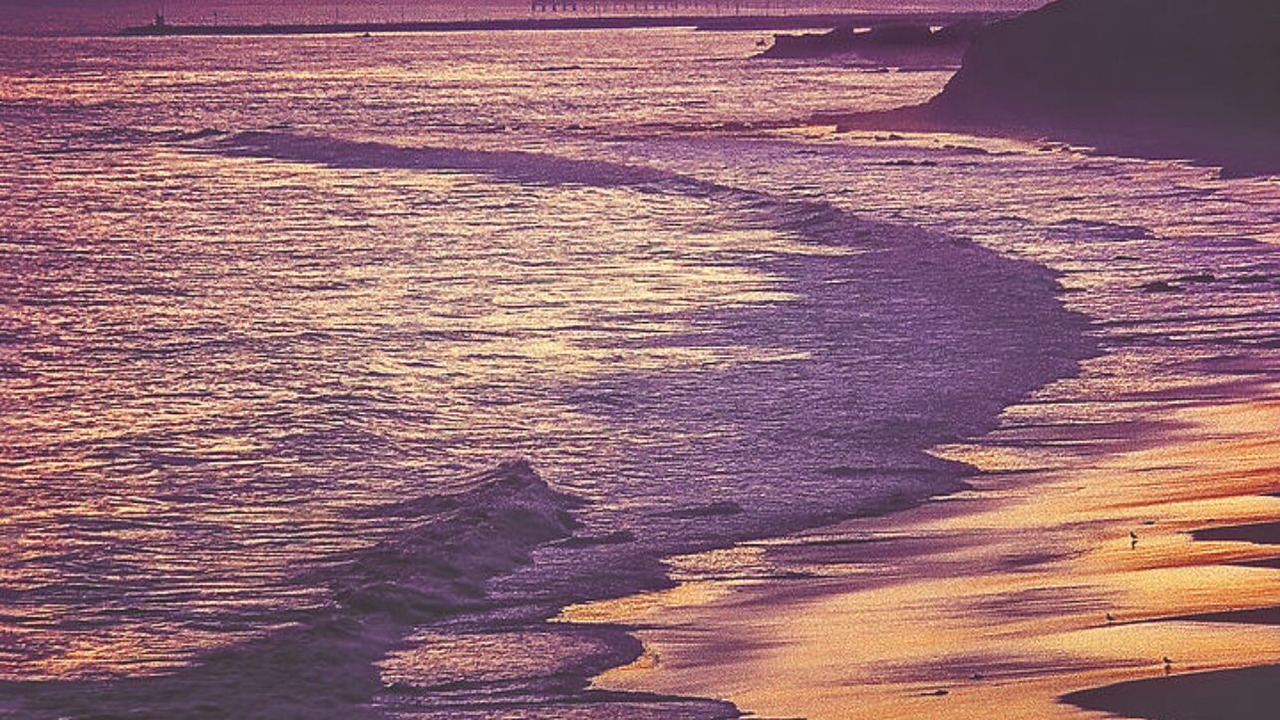 Photo of Others in Sea Trail
