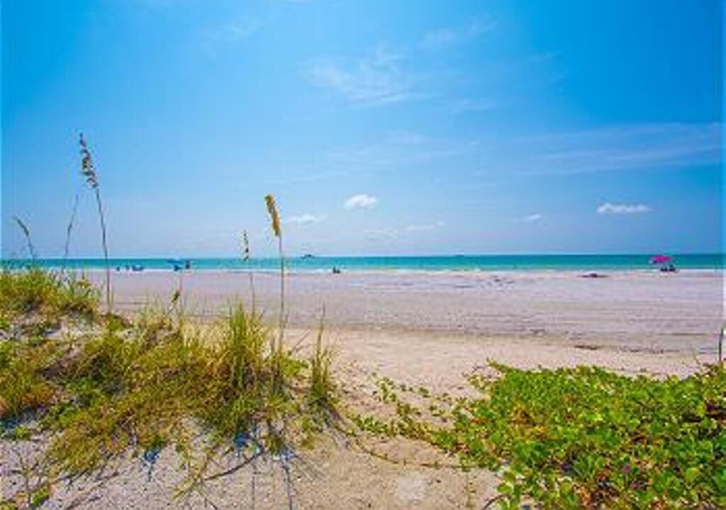 Photo of Others in Indian Rocks Beach