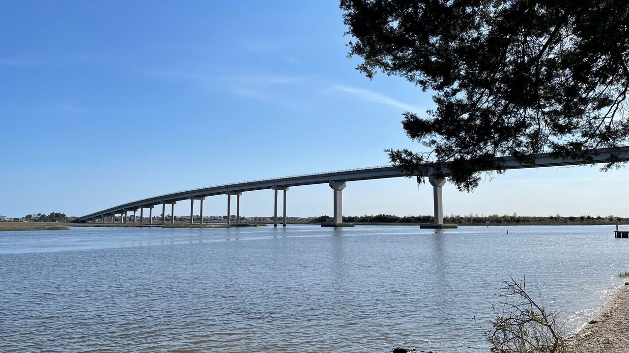 Photo of Others in Sea Trail