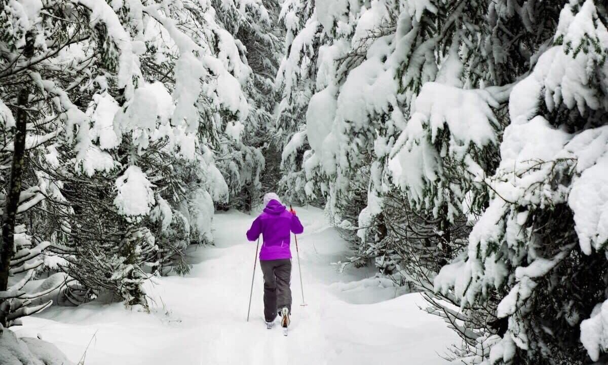 Photo of Others in Peak 8