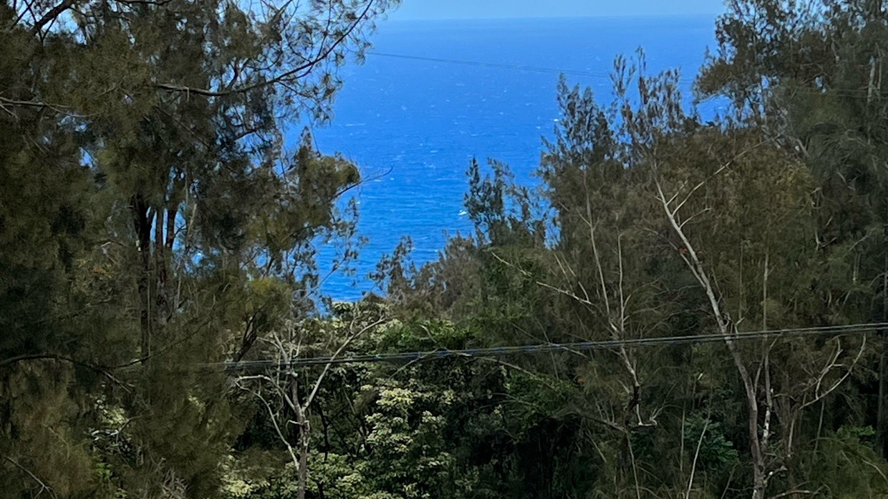 Photo of Others in Kukuihaele