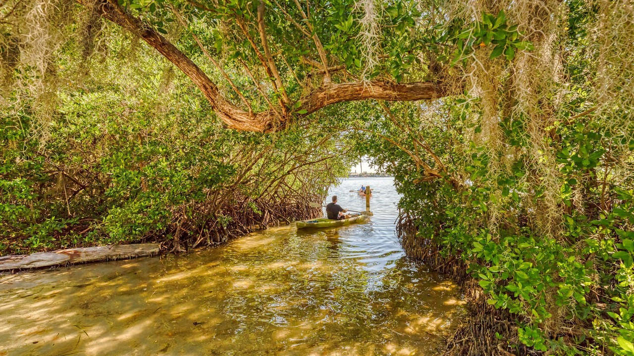 Photo of Outdoor in Sarasota