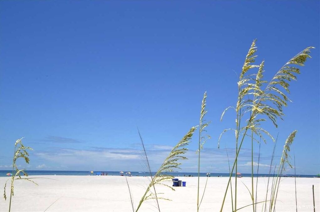 Photo of Others in St. Pete Beach