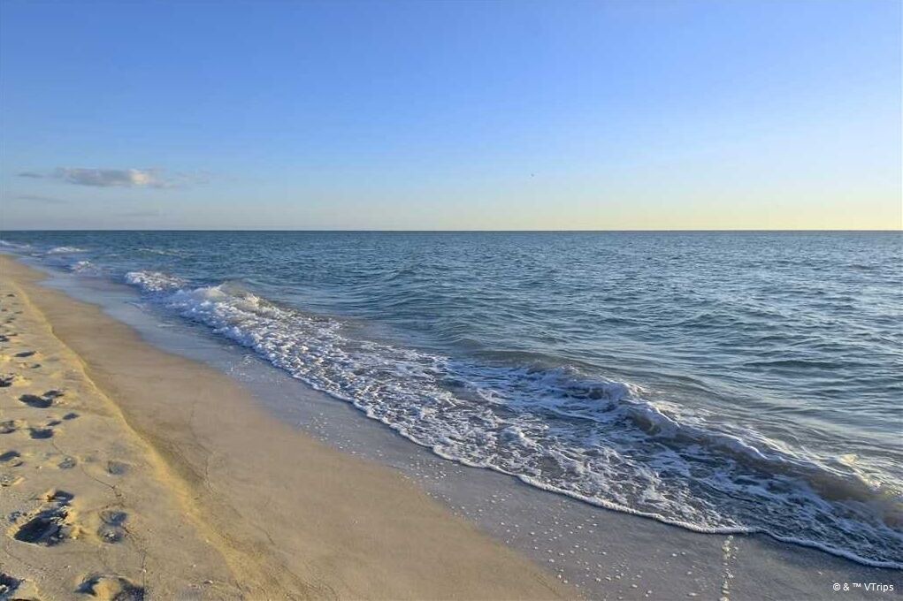 Photo of Others in St. Pete Beach