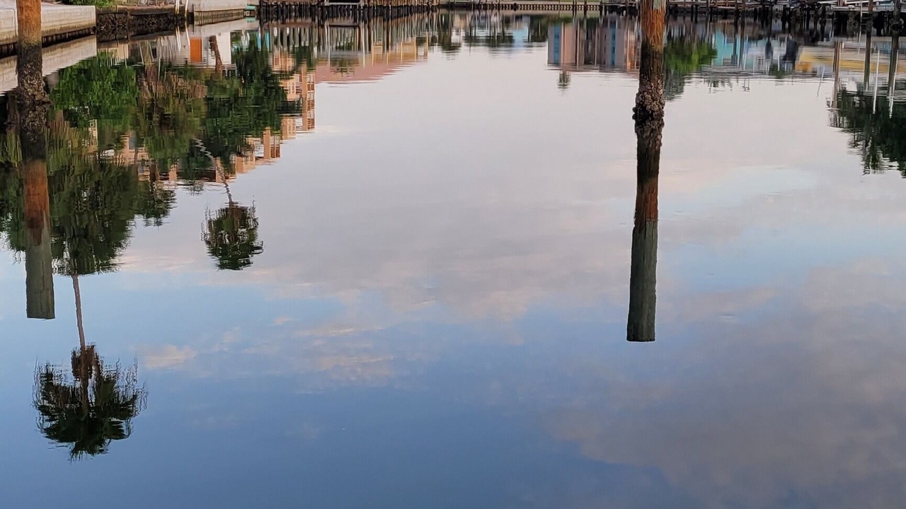 Photo of Outdoor in Treasure Island
