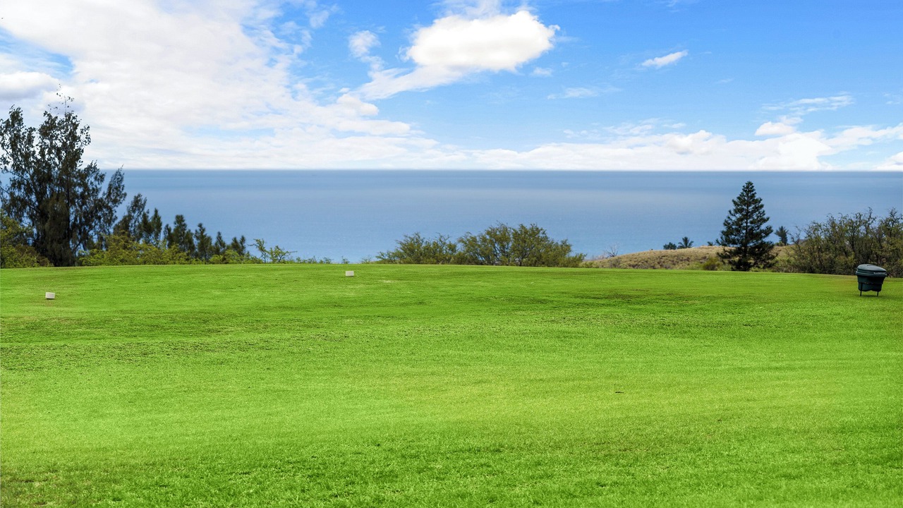 Photo of Others in Waikoloa Village