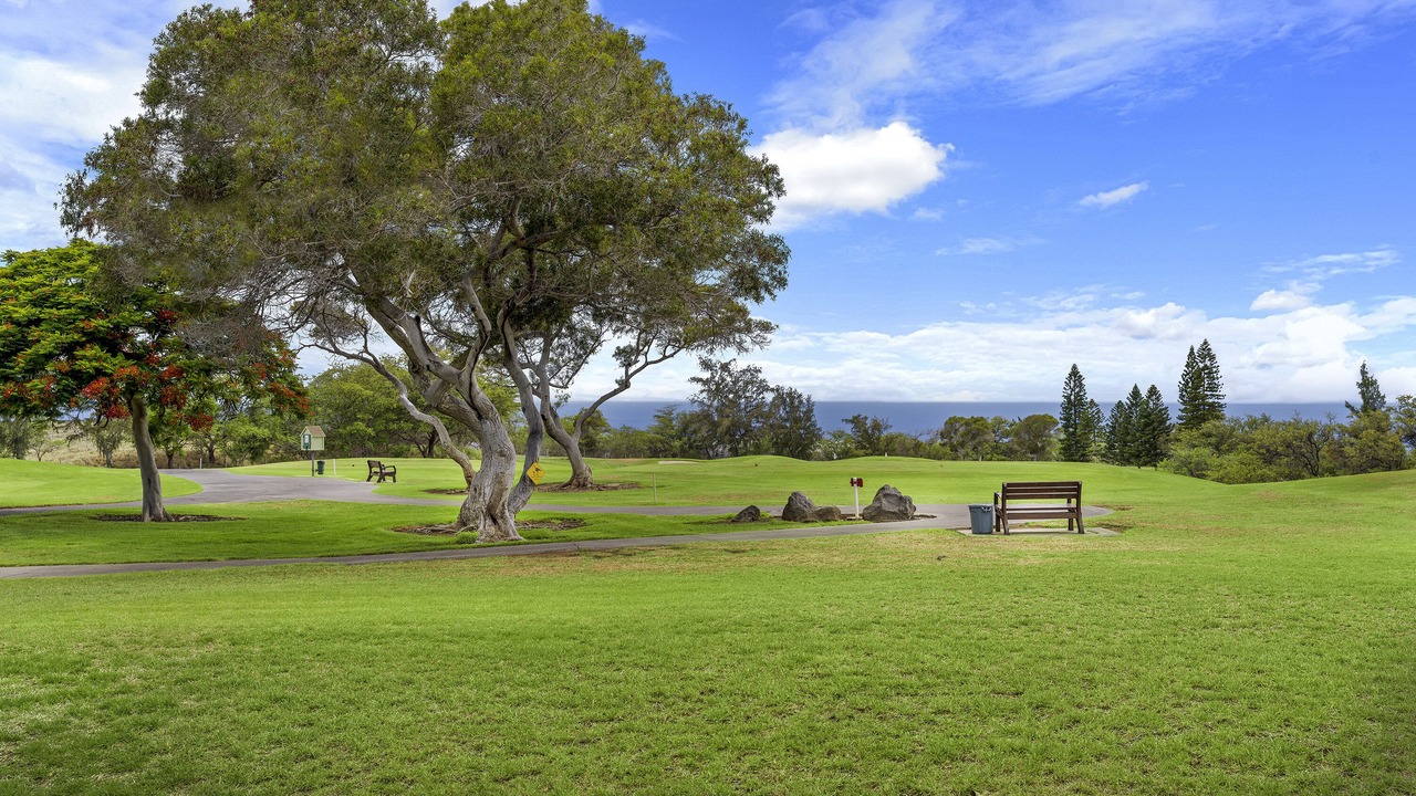 Photo of Outdoor in Waikoloa Village