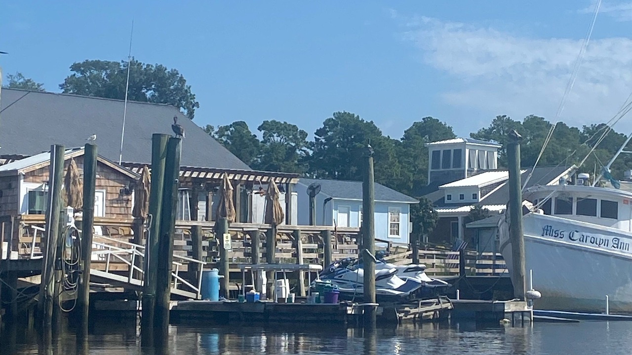 Photo of Others in Sea Trail