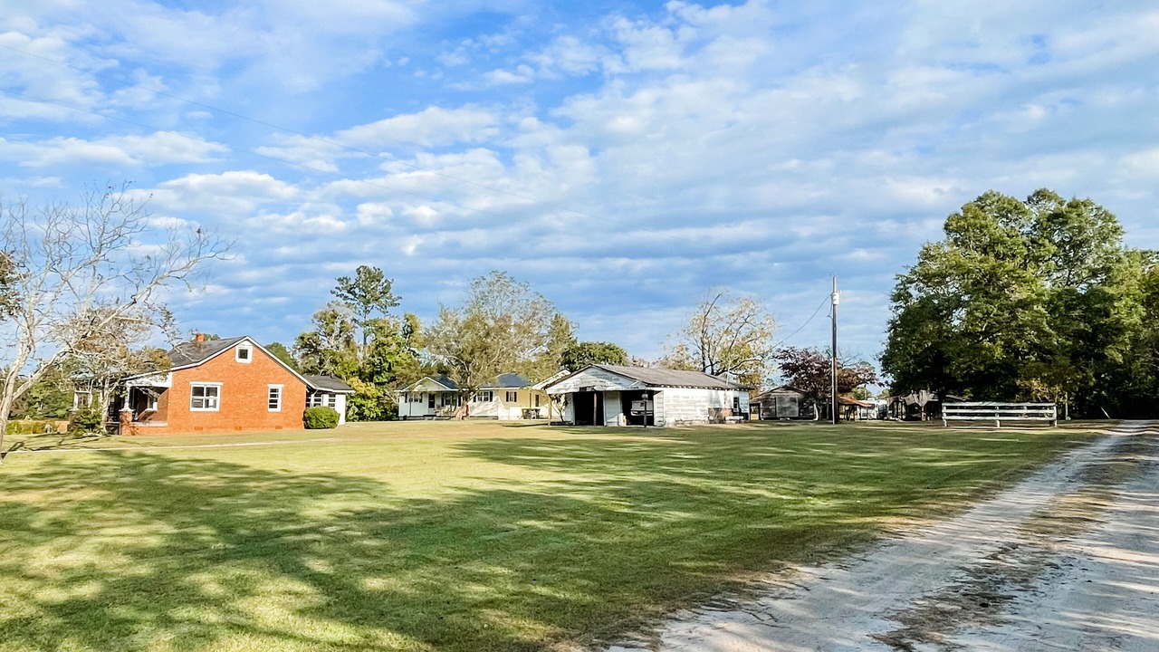 Photo of Outdoor in Ash