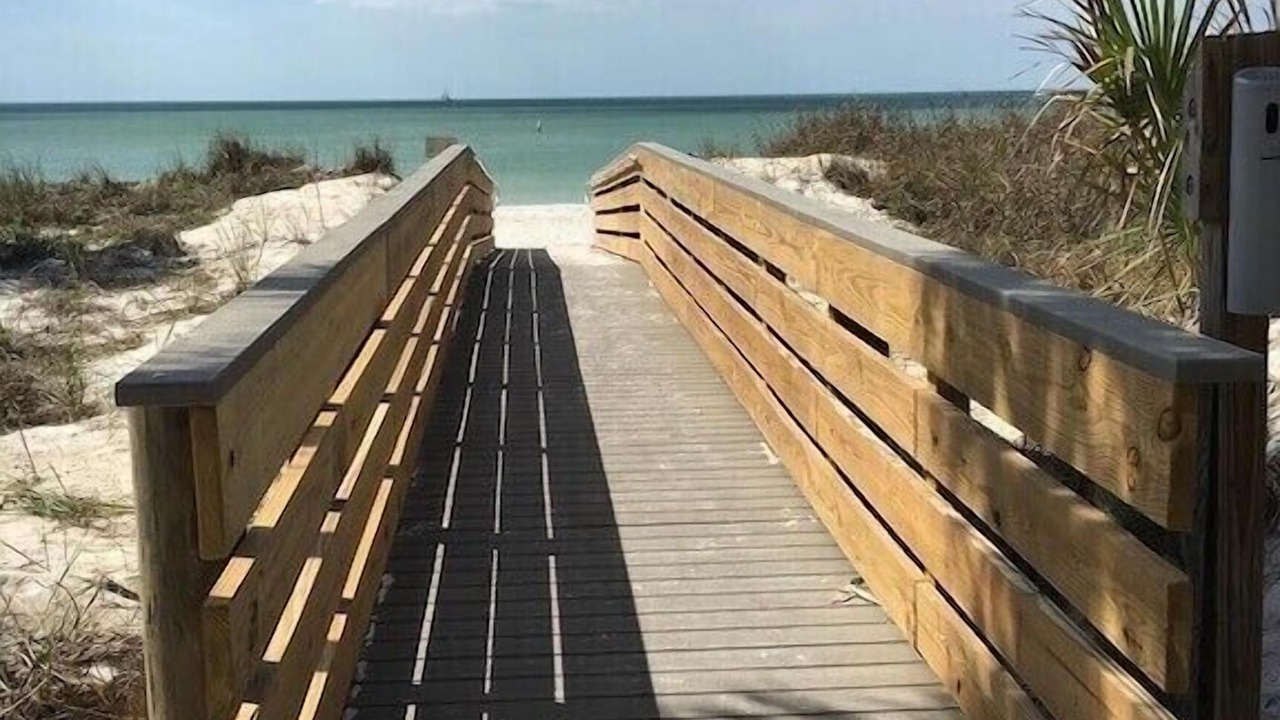 Photo of Others in Indian Rocks Beach