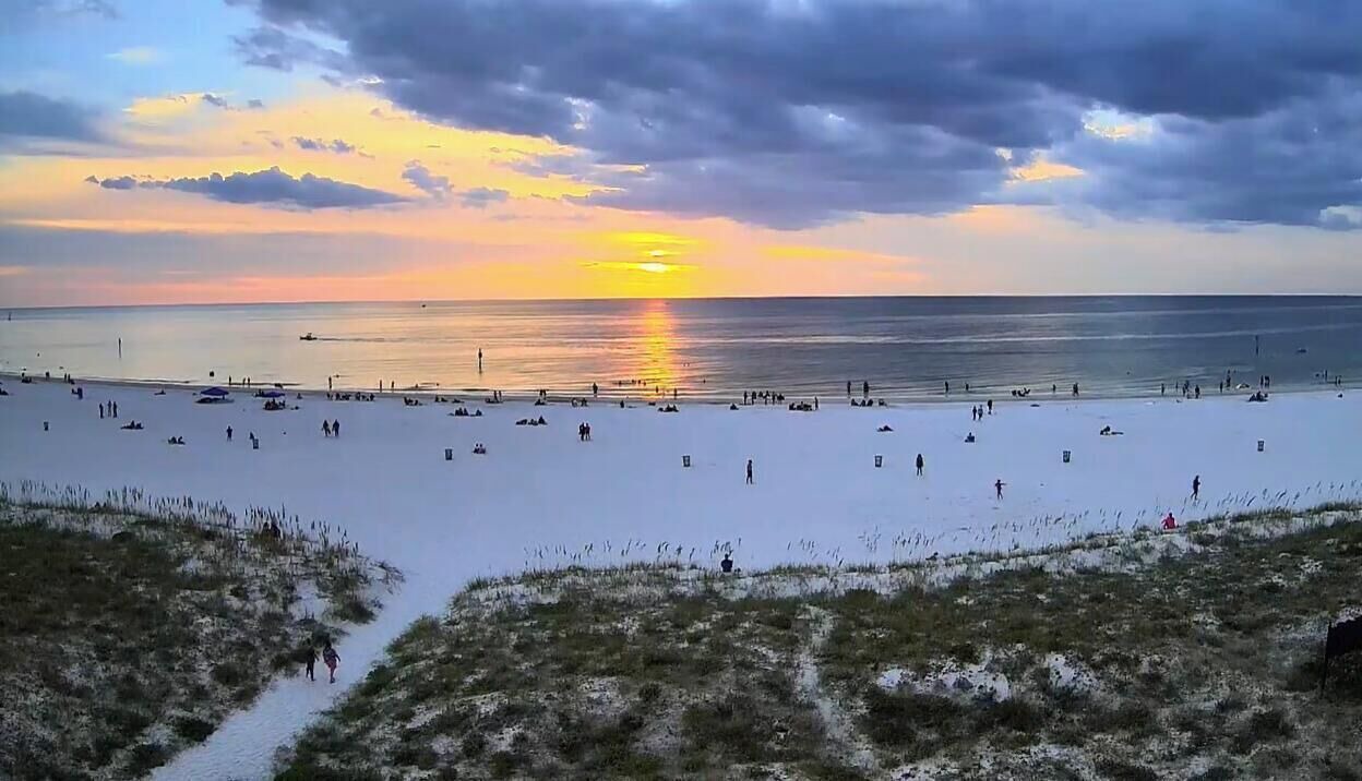 Photo of Others in Indian Rocks Beach
