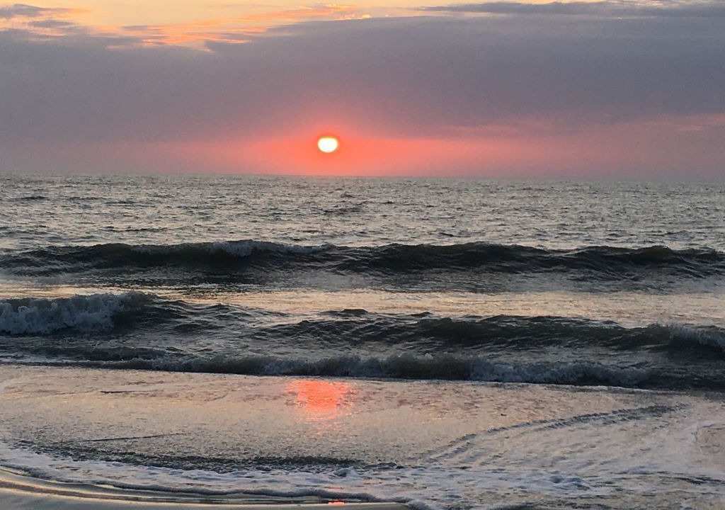 Photo of Others in Indian Rocks Beach
