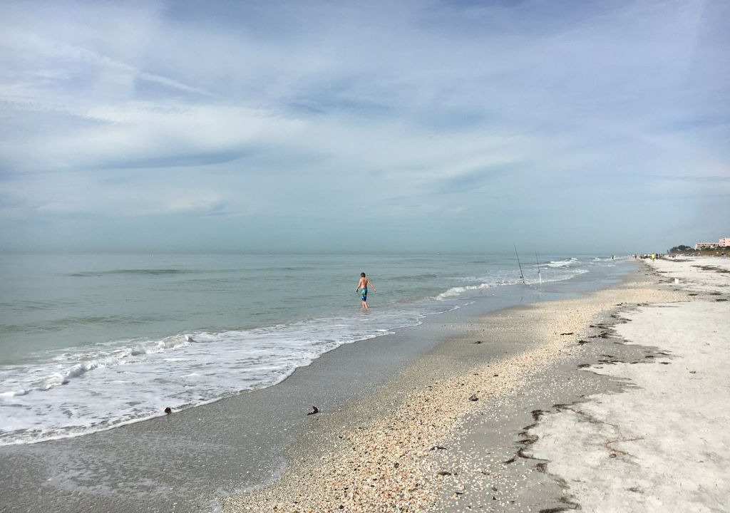 Photo of Others in Indian Rocks Beach