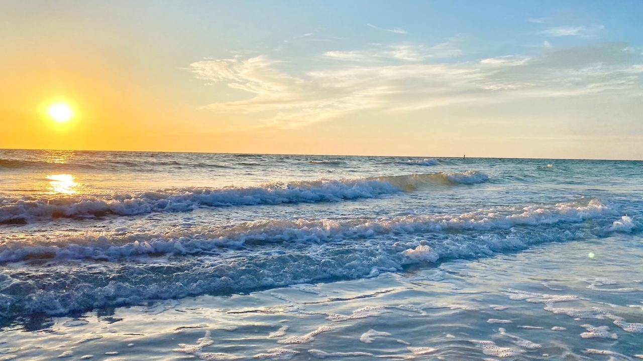 Photo of Others in Indian Rocks Beach