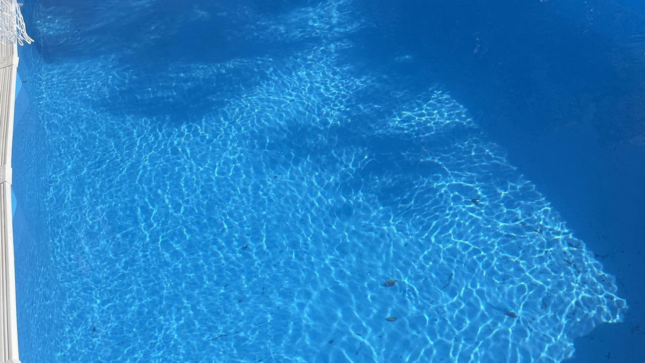 Photo of Outdoor in Indian Rocks Beach