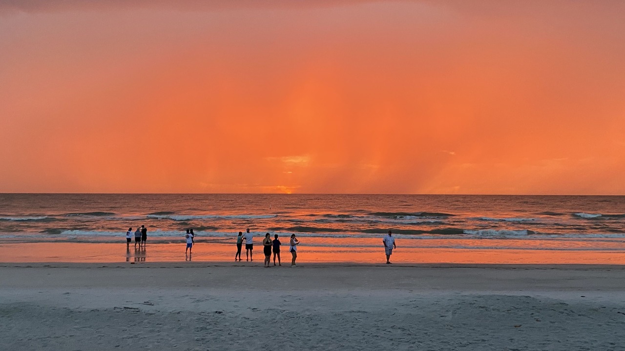 Photo of Others in Indian Rocks Beach