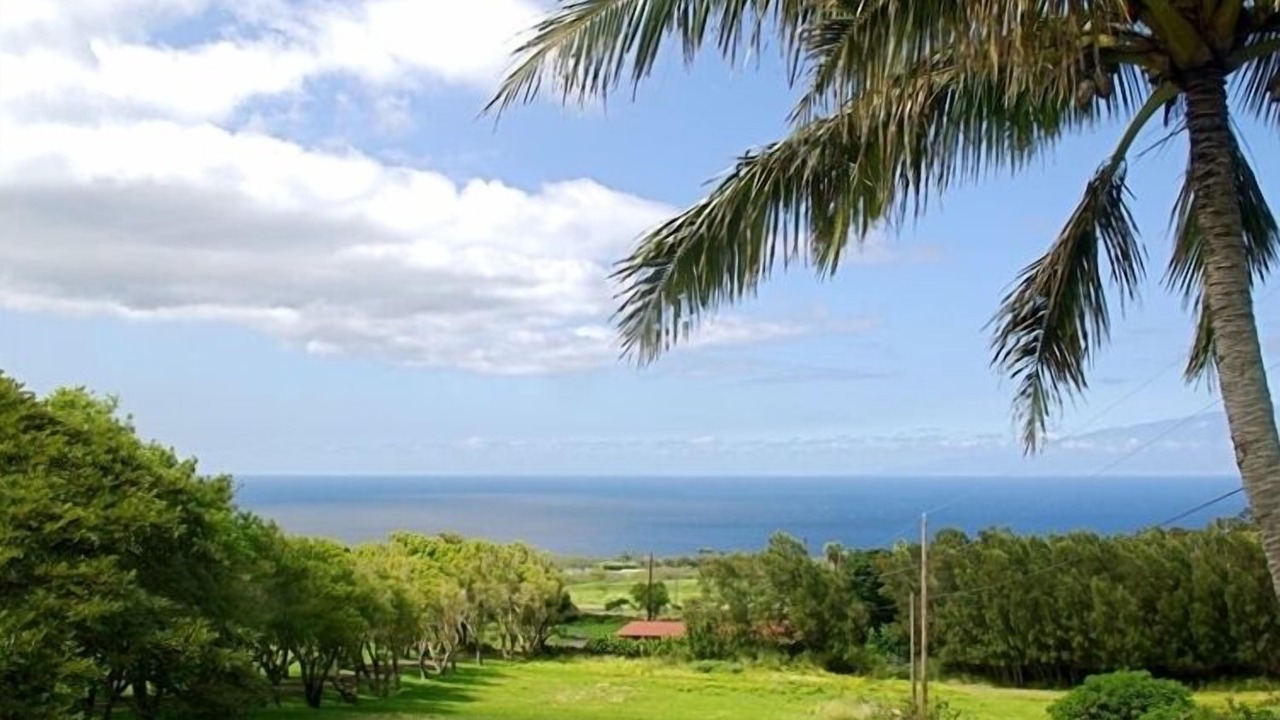 Photo of Others in Hawi