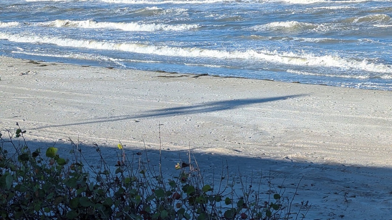 Photo of Others in Belleair Beach