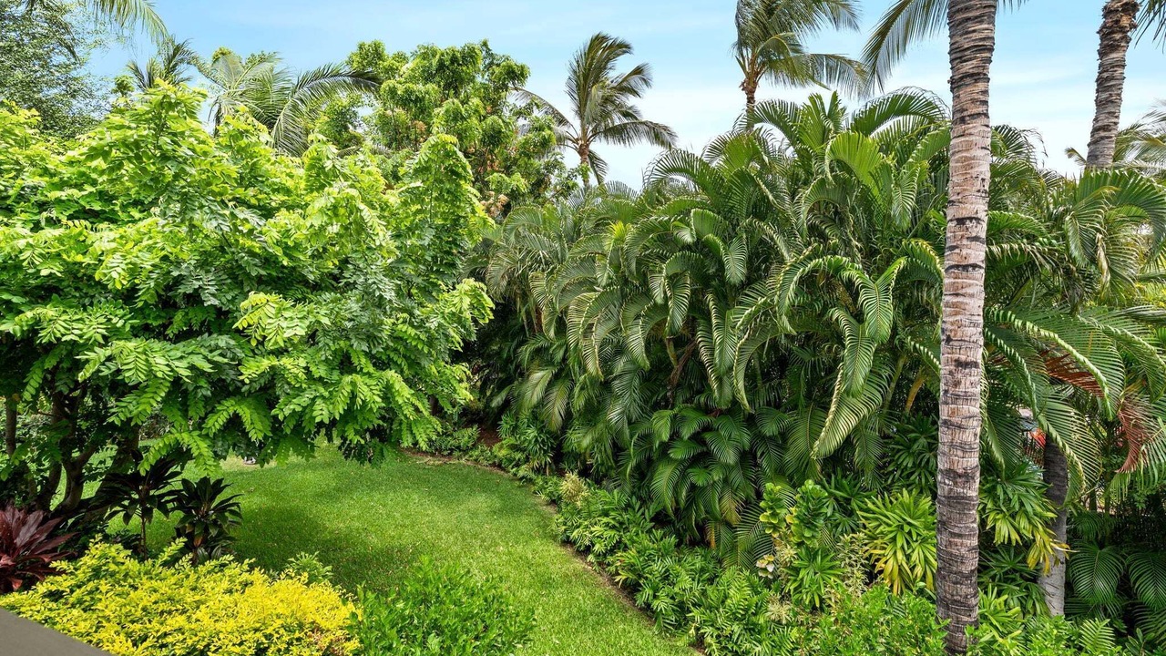 Photo of Outdoor in Kamuela