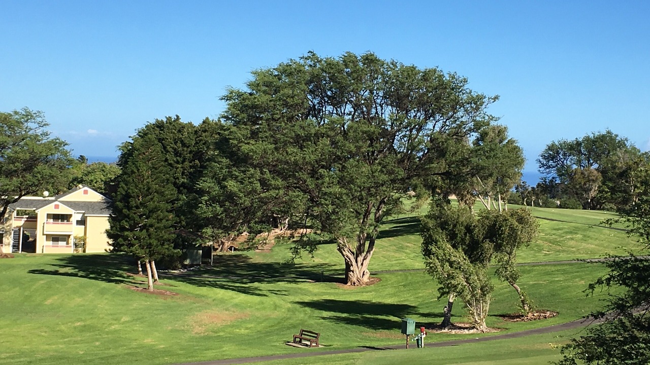 Photo of Others in Waikoloa Village