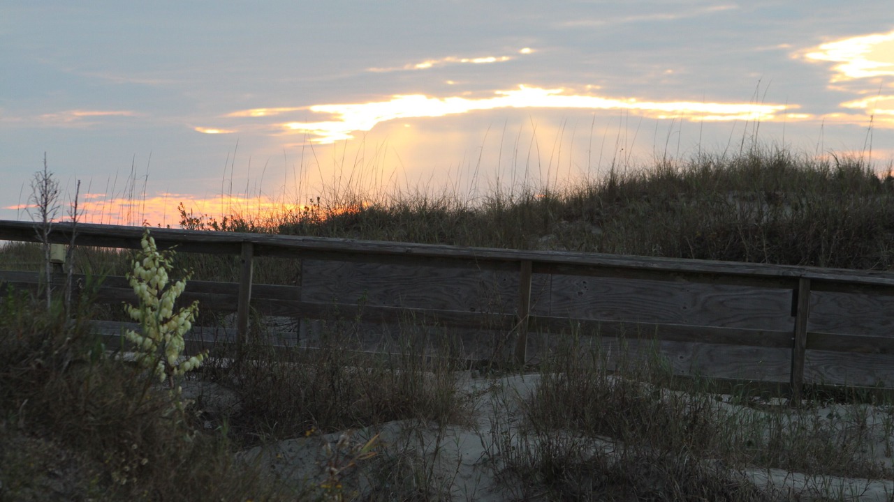 Photo of Others in Sea Trail