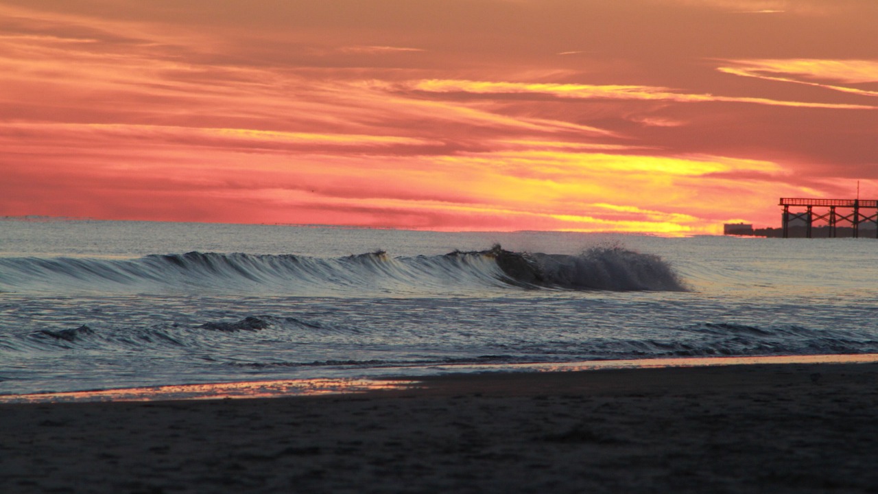 Photo of Others in Sea Trail