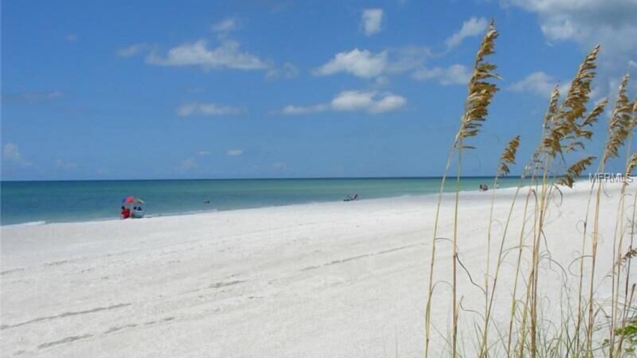 Photo of Others in Belleair Beach