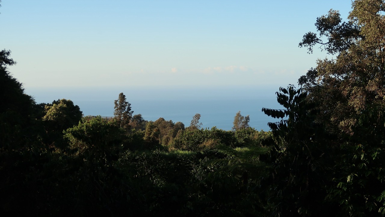 Photo of Others in Holualoa