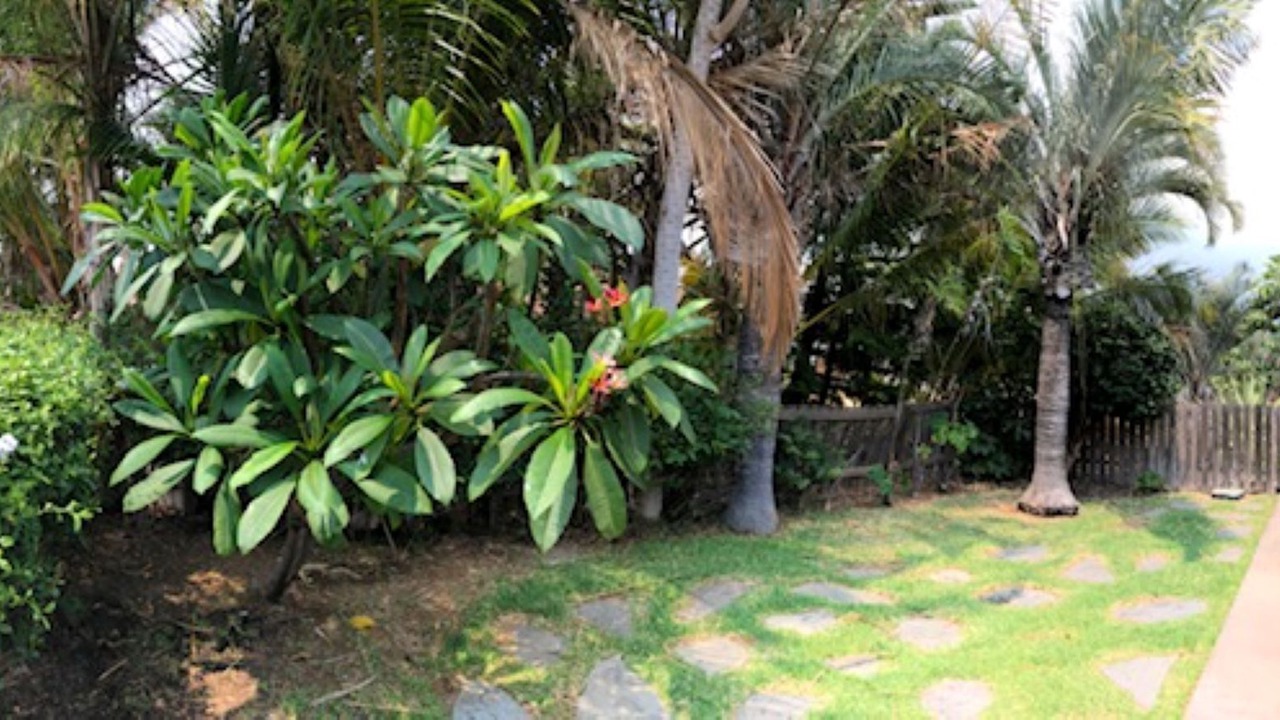 Photo of Outdoor in Waikoloa Village