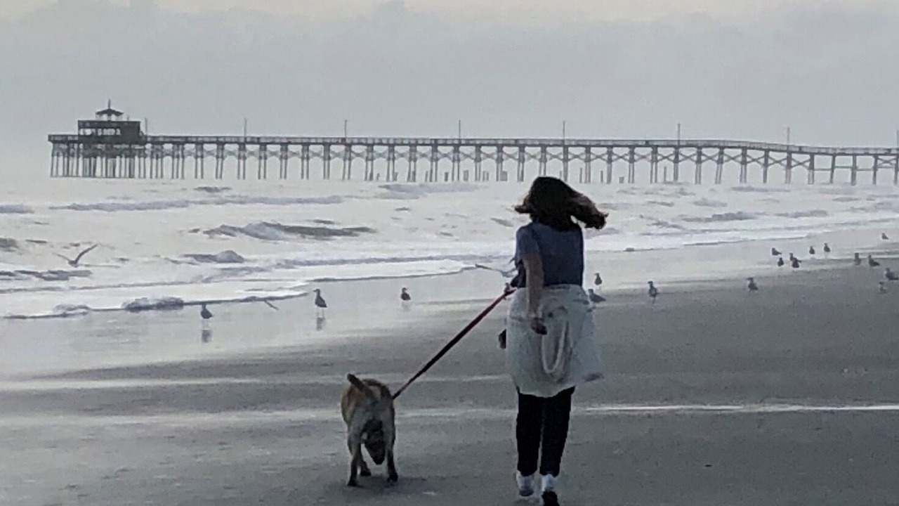 Photo of Others in North Myrtle Beach