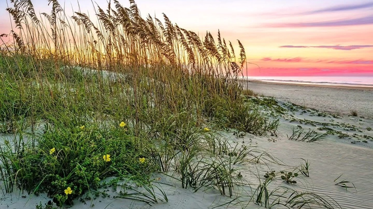 Photo of Others in North Myrtle Beach
