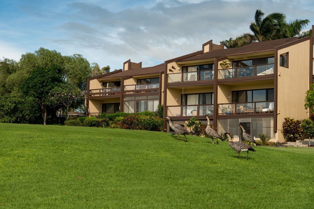 Photo of Others in Waikoloa Village