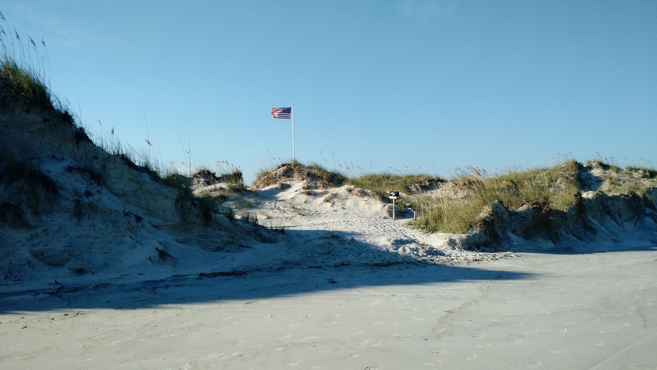 Photo of Others in Sea Trail