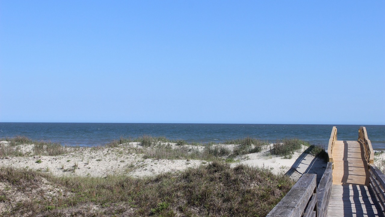 Photo of Others in Sea Trail